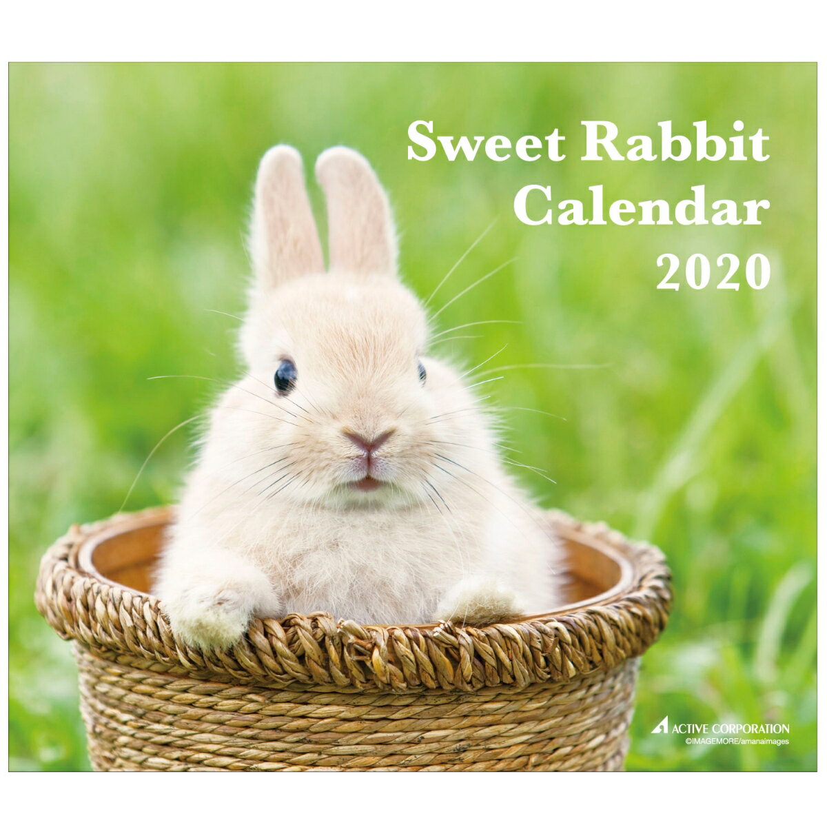 カレンダー 2020年 壁掛け Sweet Rabbit ACL-36