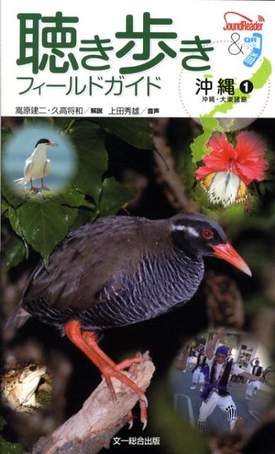 聴き歩きフィールドガイド沖縄（1）