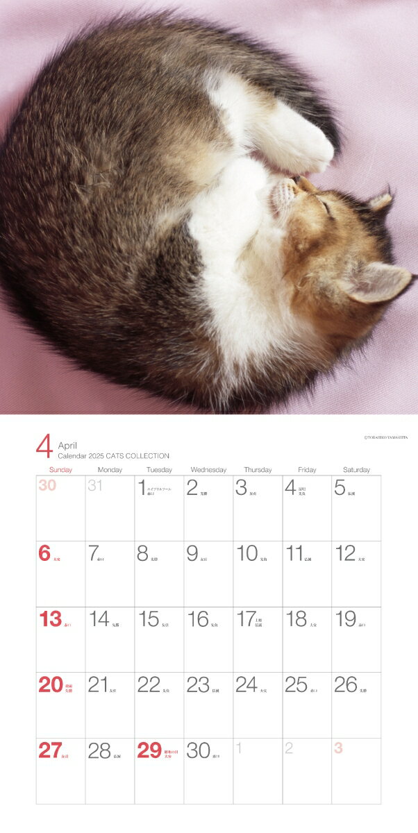 2025カレンダー キャッツコレクション [ ...の紹介画像2