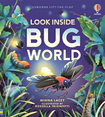Look Inside Bug World LOOK INSIDE BUG WORLD （Look Inside） 