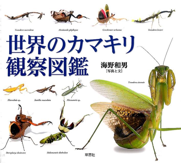 世界のカマキリ観察図鑑