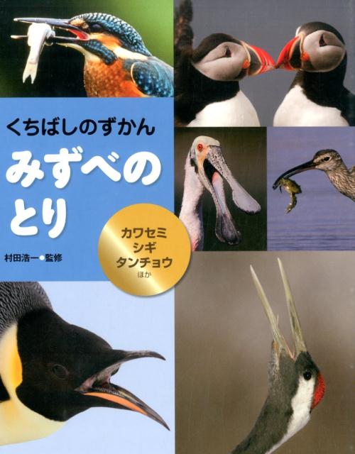 みずべのとり カワセミ・シギ・タンチョウほか （くちばしのずかん） [ 村田浩一 ]