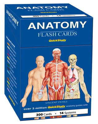 Anatomy Flash Cards: A Quickstudy Reference & Study Tool FLSH CARD-ANATOMY FLASH CARDS 