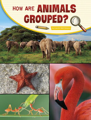 How Are Animals Grouped HOW ARE ANIMALS GROUPED （Science Inquiry） Lisa M. Bolt Simons