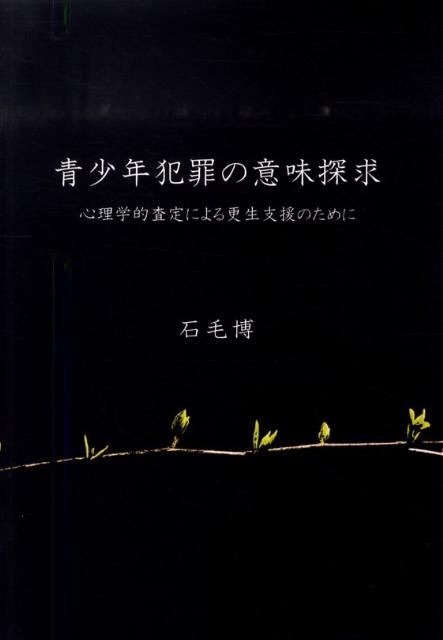 青少年犯罪の意味探求 心理学的査定による更生支援のために [ 石毛博 ]
