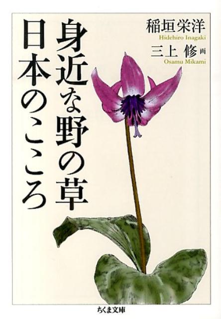 身近な野の草日本のこころ （ちくま文庫） [ 稲垣栄洋 ]