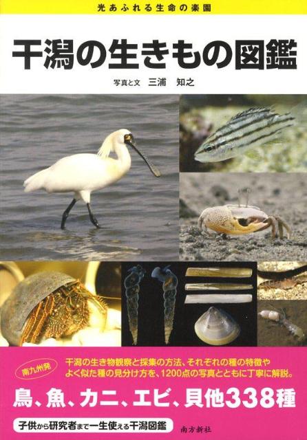 干潟の生きもの図鑑 光あふれる生命の楽園 [ 三浦知之 ]のサムネイル