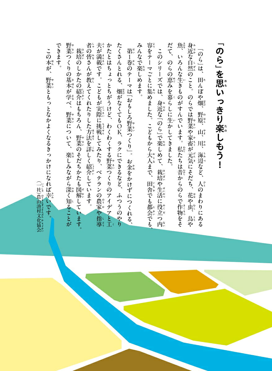 楽天ブックスの裏ワザ直伝！　野菜のびっくりおもしろ栽培 （のらのらブックス） [ 農文協 ]｜アングル3