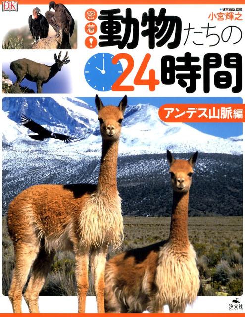 密着！動物たちの24時間（アンデス山脈編）