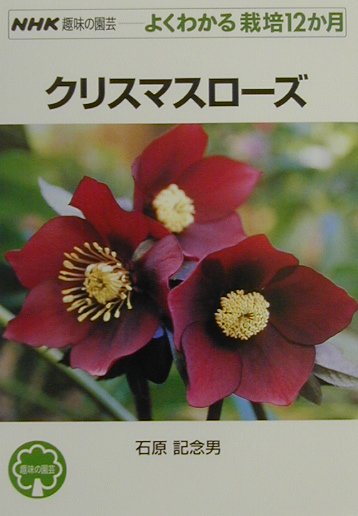 クリスマスローズ （NHK趣味の園芸ーよくわかる栽培12か月） [ 石原記念男 ]