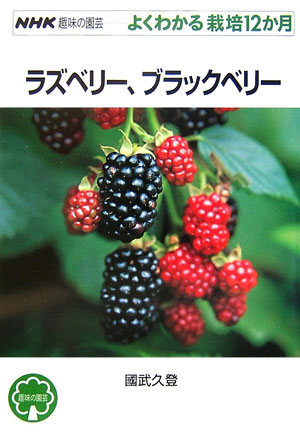 初心者でもプランターでもok 超 育てやすいブラックベリーの魅力と育て方 農業 ガーデニング 園芸 家庭菜園マガジン Agri Pick