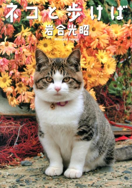 ネコと歩けば ニッポンの猫写真集 [ 岩合光昭 ]