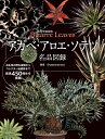 ． shabomaniac! 日本文芸社アガペ アロエ ソテツ メイヒンズロク シャボマニアック 発行年月：2023年12月22日 予約締切日：2023年06月29日 ページ数：192p サイズ：単行本 ISBN：9784537221411 shabomaniac！（SHABOMANIAC） 園芸家・ブロガー。幼少期から40年、サボテンと多肉植物を中心に世界の植物に向き合う。栽培困難種の育成法研究や、海外からの新種導入に早くから取り組む。種子からの育成記録と自生地巡りをブログやInstagramで発信している（本データはこの書籍が刊行された当時に掲載されていたものです） 1　アガベ（AGAVE／アガベ　竜の炎に炙られて／アガベ属／マンガベ属）／2　アロエ（ALOE／アロエ　苦い記憶と蘆薈の本懐／アロエ属／アロエアンペロス属　ほか）／3　ソテツ（CYCAD／ソテツ　太古の原野を夢見る／サイカス属（ソテツ属）／ボウエニア属　ほか） 自生地の野生植物からコレクター秘蔵株まで、厳選450個体を掲載。 本 ビジネス・経済・就職 産業 農業・畜産業 美容・暮らし・健康・料理 ガーデニング・フラワー 花 美容・暮らし・健康・料理 ガーデニング・フラワー 観葉植物・盆栽