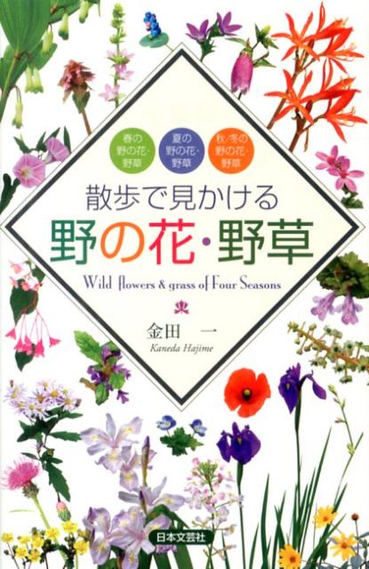 街で見かける野の花・野草・雑草を「春」「夏」「秋／冬」の季節に分けて紹介。