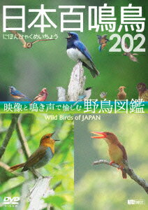 日本百鳴鳥 202 映像と鳴き声で愉しむ野鳥図鑑 [ (趣味/教養) ]