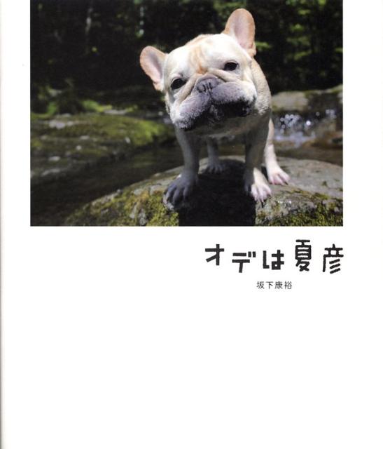 オデは夏彦