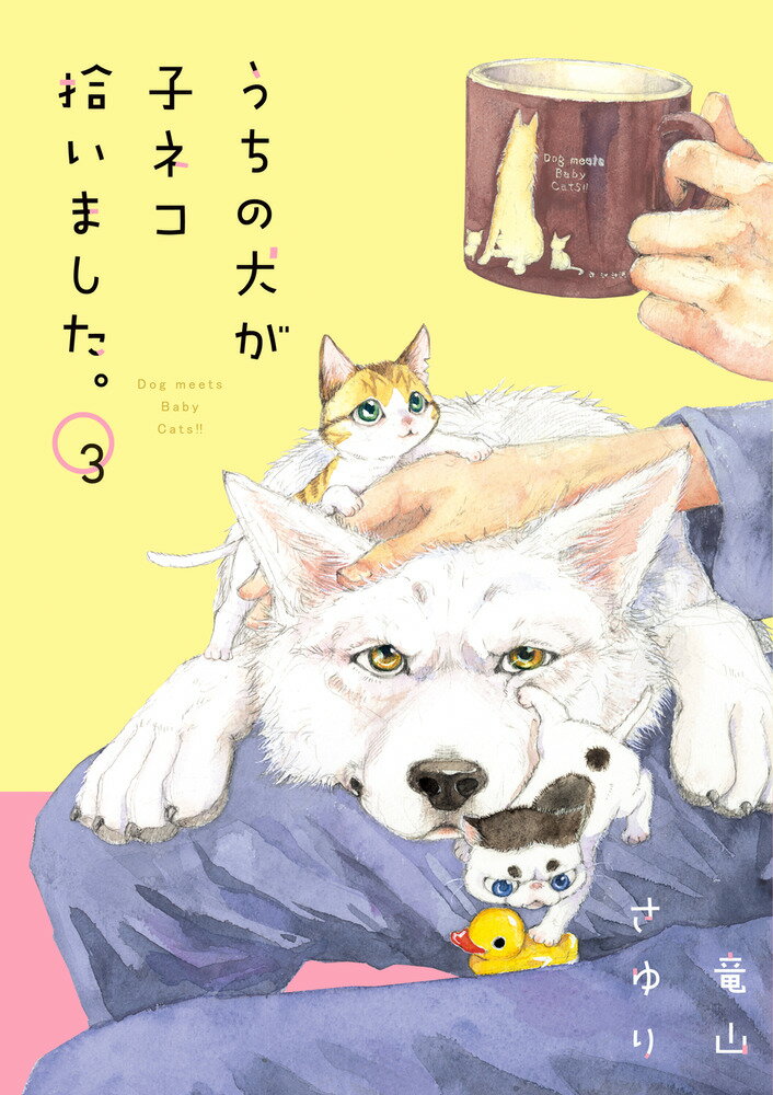 うちの犬が子ネコ拾いました。（第3巻）