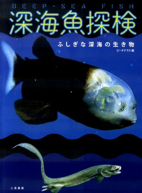 深海魚探検 ふしぎな深海の生き物 ビーチテラス