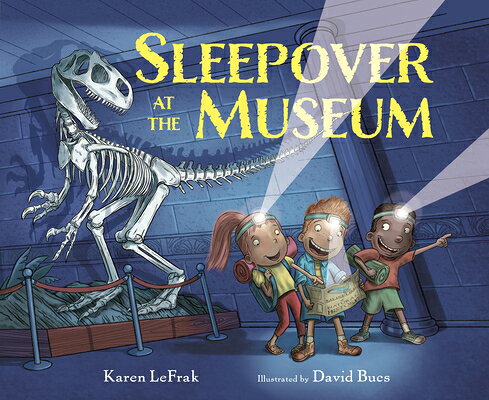 Sleepover at the Museum SLEEPOVER AT THE MUSEUM [ Karen Lefrak ]