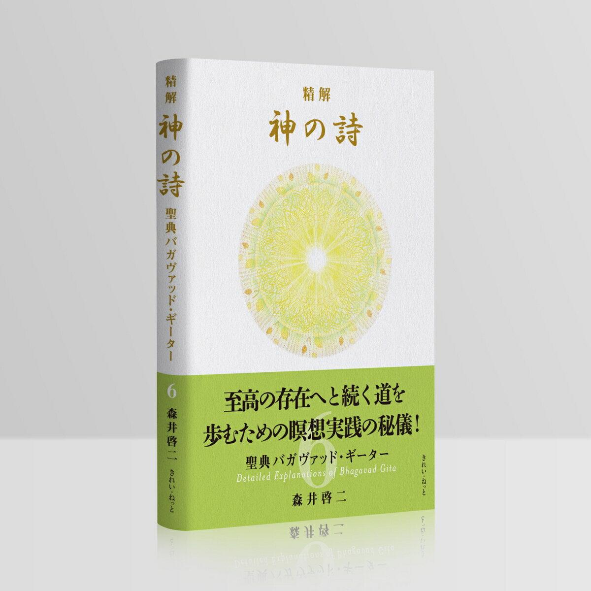 精解 神の詩 聖典バガヴァッド・ギーター 6 [ 森井啓二 ] 3