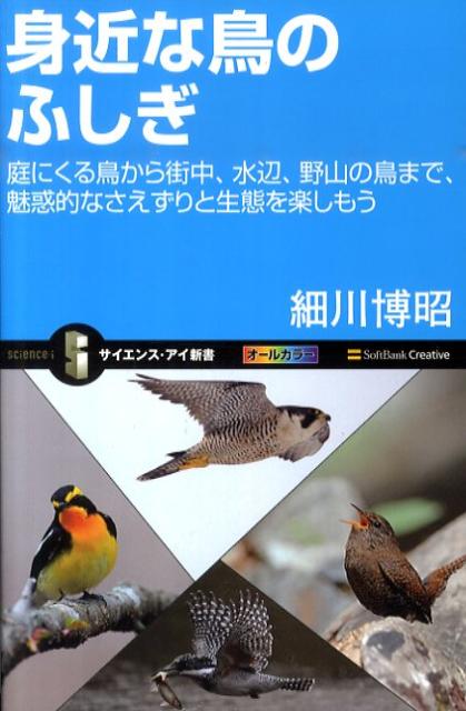 身近な鳥のふしぎ