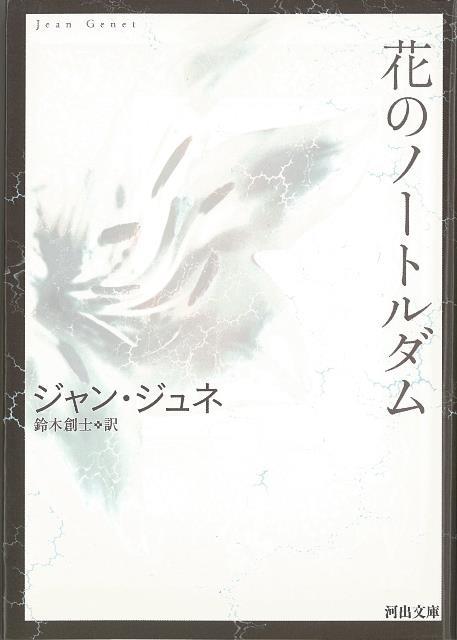 【バーゲン本】花のノートルダムー河出文庫