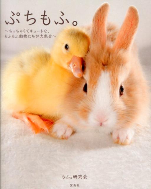 ぷちもふ。 ちっちゃくてキュートな、もふもふ動物たちが大集合 [ もふ。研究会 ]のサムネイル