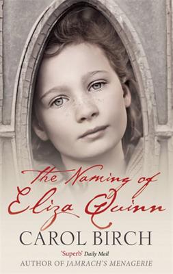 The Naming of Eliza Quinn NAMING OF ELIZA QUINN REV/E [ Carol Birch ]