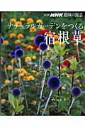 ナチュラルガーデンをつくる宿根草 （別冊NHK趣味の園芸） [ 小黒晃 ]