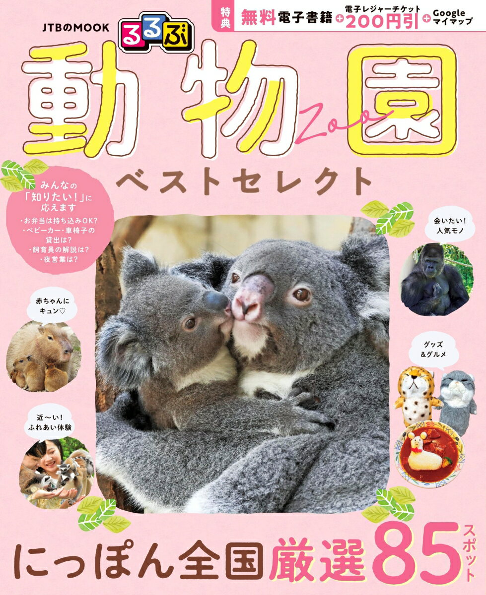【中古】全国ステキな古都さんぽ 郷土ごはん＆ご当地みやげ/メディアファクトリ-/伊藤美樹（単行本）