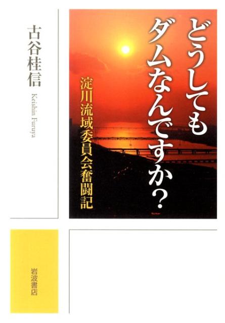 どうしてもダムなんですか？