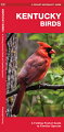 Kentucky Birds, An Introduction to Familiar Species, is a must-have, reference guide for beginners and experts alike. Whether you're on a nature hike or in your own backyard, you'll want to take along a copy of this indispensable guide. The Pocket Naturalist(tm) series is an introduction to common plants and animals and natural phenomena. Each pocket-sized, folding guide highlights up to 150 species and most feature a map highlighting prominent sanctuaries and outstanding natural attractions. Each is laminated for durability. (31/2 X 81/4 folded, opens to 22 X 81/4, color illustrations, map)