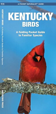 Kentucky Birds, An Introduction to Familiar Species, is a must-have, reference guide for beginners and experts alike. Whether you're on a nature hike or in your own backyard, you'll want to take along a copy of this indispensable guide. The Pocket Naturalist(tm) series is an introduction to common plants and animals and natural phenomena. Each pocket-sized, folding guide highlights up to 150 species and most feature a map highlighting prominent sanctuaries and outstanding natural attractions. Each is laminated for durability. (31/2 X 81/4 folded, opens to 22 X 81/4, color illustrations, map)