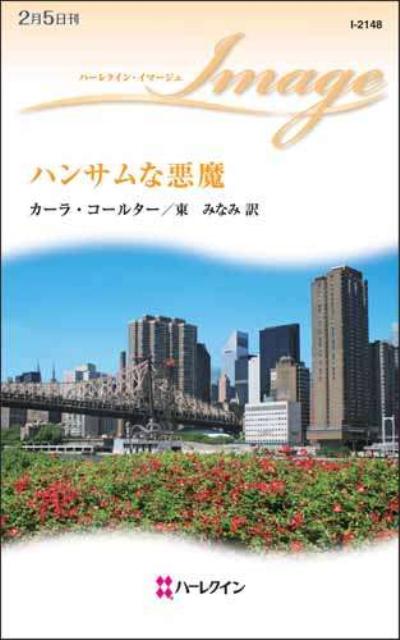 ハンサムな悪魔