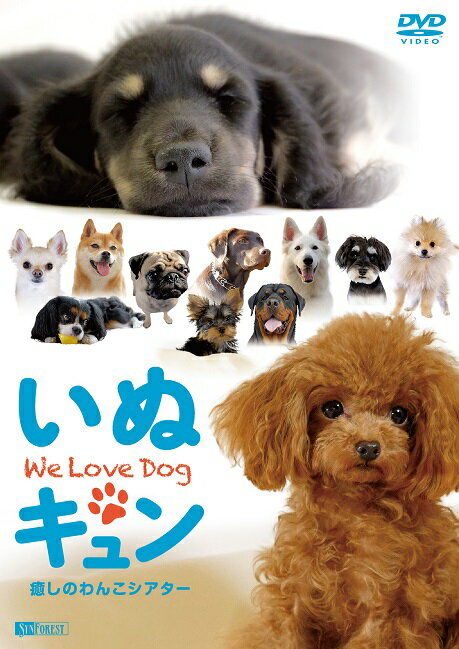 いぬキュン　癒しのわんこシアター We Love Dog [ (趣味/教養) ]