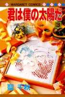 君は僕の太陽だ（3）