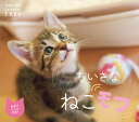 ちいさなねこモフカレンダー（2024） （［カレンダー］）