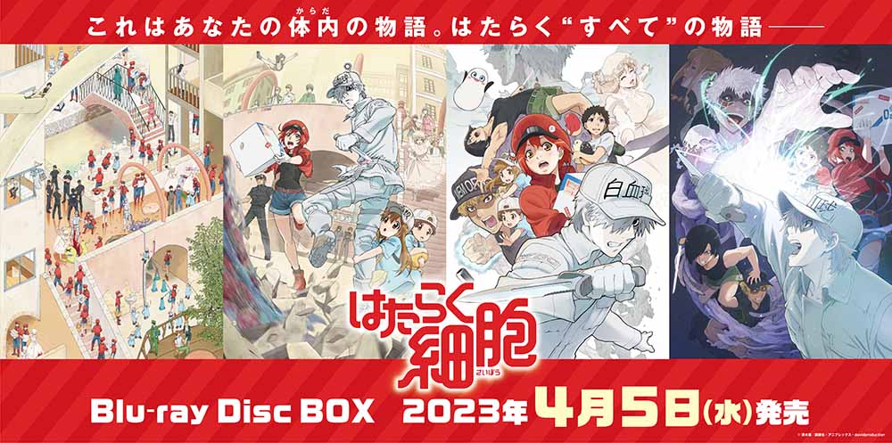 はたらく細胞 Blu-ray Disc BOX [ 清水茜 ]