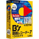 B's 動画レコーダー 7＋DVDビデオ