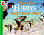 #6: How Do Birds Find Their Wayβ