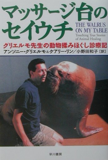 マッサージ台のセイウチ