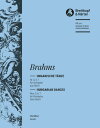 ブラームス, Johannes: ハンガリー舞曲集 第5番(ト短調編曲)、第6番(ニ長調編曲)、第7番(ヘ長調編曲)/オーケストラ用編曲/シュメリング編: 指揮者用大型スコア 