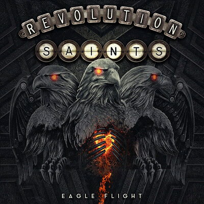 【輸入盤】Eagle Flight