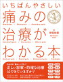 あらゆる「痛み」に対して正しい診察・的確な治療はできていますか？エビデンスに基づいたまったく新しい診察手順を身につけられる！