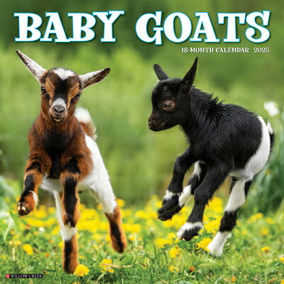 Baby Goats 2025 12 X 12 Wall Calendar BABY GOATS 2025 12 X 12 WALL C [ Willow Creek Press ]