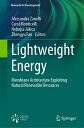 ŷ֥å㤨Lightweight Energy: Membrane Architecture Exploiting Natural Renewable Resources LIGHTWEIGHT ENERGY 2023/E Research for Development [ Alessandra Zanelli ]פβǤʤ54,560ߤˤʤޤ