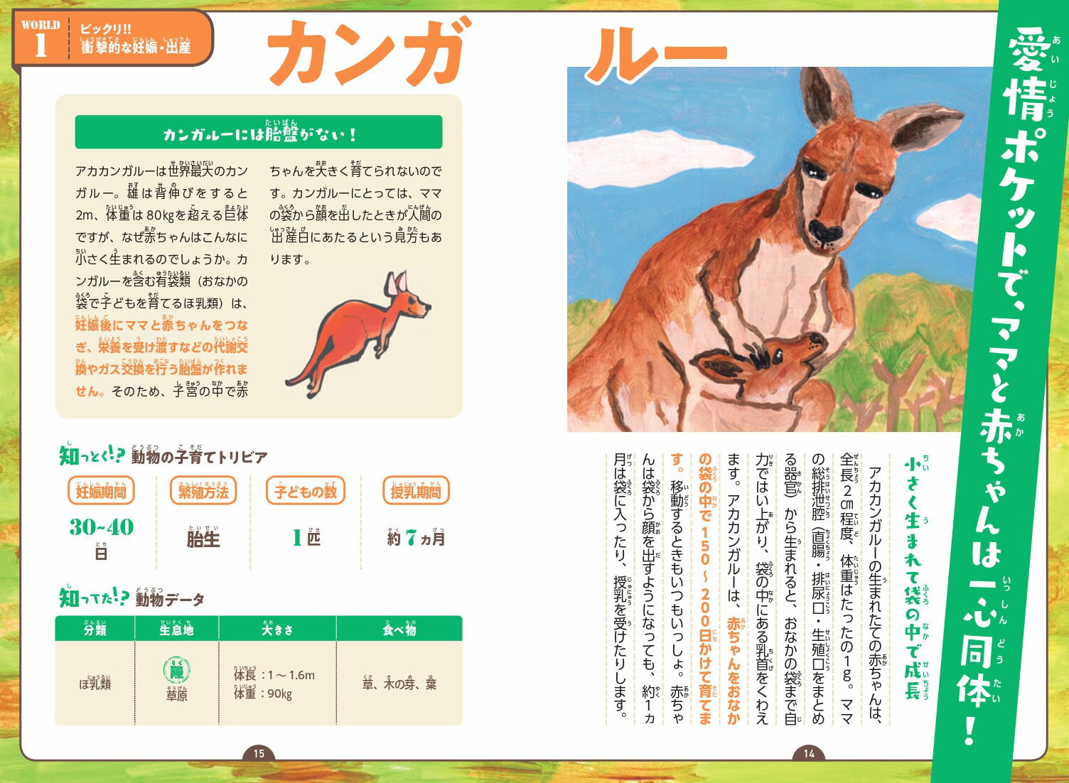 知るほど楽しい！パンク町田の ゆかい痛快！動物の子育ての世界 [ パンク町田 ] 2