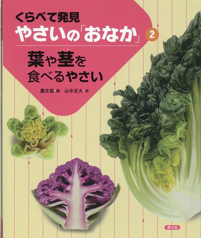 葉や茎を食べるやさい（2）