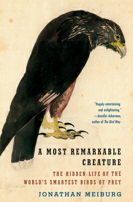 A Most Remarkable Creature: The Hidden Life of the World's Smartest Birds of Prey MOST REMARKABLE CREATURE 