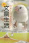 【バーゲン本】漫画で楽しむだからやめられない文鳥生活 702円